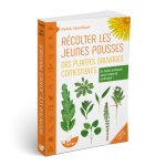 Récolter les jeunes pousses des plantes sauvages comestibles - En toute confiance, sans risque de confusion !