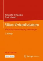 Silikon-Verbundisolatoren