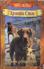 Хантер. Тени сгущаются.