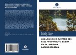 OEkologischer Zustand Des Sees Podvornoye, Bezirk Birsk, Republik Bashkortostan