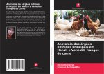 Anatomia dos orgaos linfoides principais em Hansli e Vencobb frangos de carne