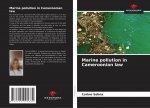 Marine pollution in Cameroonian law
