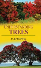 Understanding Trees