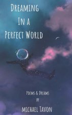 Dreaming in a Perfect World