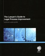 Lawyer's Guide to Legal Process Improvement