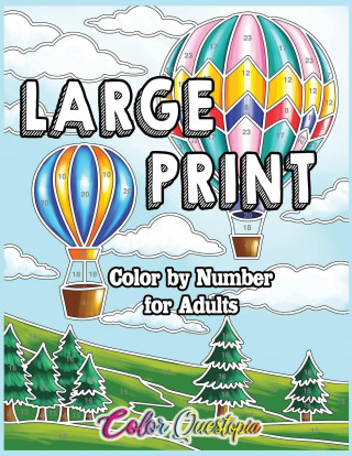 Large Print Color by Number for Adults