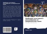 Проблема культурного ра&