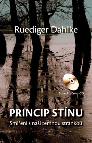 Princip stínu