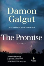 The Promise: A Novel (Booker Prize Winner)