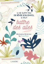 Il ne suffit pas de rêver son envol, il faut battre des ailes