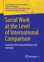 Social Work at the Level of International Comparison