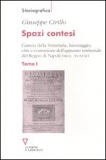 Spazi contesi. Camera della Sommaria, baronaggio, città e costruzione dell'apparato territoriale del Regno di Napoli (secc. XV-XVIII)