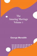 Amazing Marriage - Volume 1
