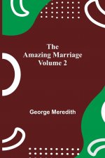 Amazing Marriage - Volume 2