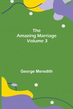 Amazing Marriage - Volume 3