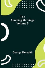 Amazing Marriage - Volume 5