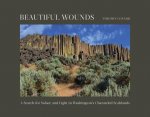 Beautiful Wounds