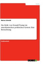Die Rolle von Donald Trump im amerikanischen politischen System. Eine Betrachtung