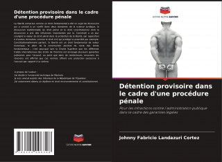 Detention provisoire dans le cadre d'une procedure penale