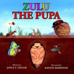Zulu The Pupa