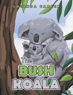 Bush Koala