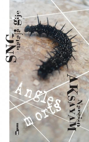 Angles morts