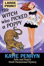 Witch who Picked a Poppy