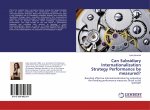 Can Subsidiary Internationalization Strategy Performance be measured?
