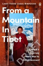 From a Mountain In Tibet