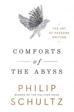 Comforts of the Abyss - The Art of Persona Writing