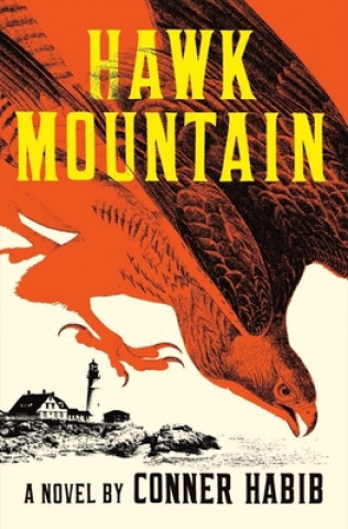 Hawk Mountain - A Novel
