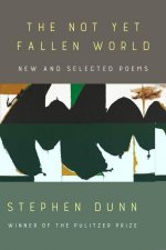 Not Yet Fallen World