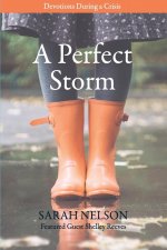 Perfect Storm