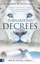 Turnaround Decrees: Disrupt the Enemy's Plans and Shift Your Circumstance Into Breakthrough