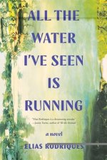 All the Water I've Seen Is Running - A Novel