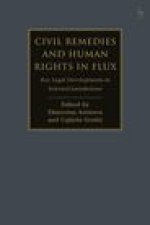 Civil Remedies and Human Rights in Flux