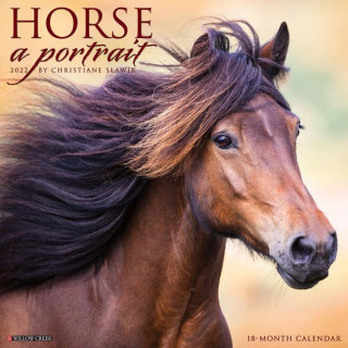 Horse: A Portrait 2022 Wall Calendar