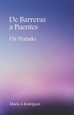 De Barreras a Puentes