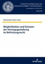 Moeglichkeiten und Grenzen der Vertragsgestaltung im Befristungsrecht; Ein Beitrag zum Zusammenwirken der Kontrollinstrumente im Befristungsrecht nach