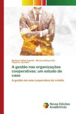 gestao nas organizacoes cooperativas