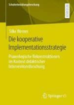 kooperative Implementationsstrategie