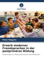 Erwerb moderner Fremdsprachen in der postprimaren Bildung