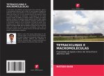Tetraciclinas E Macromoleculas
