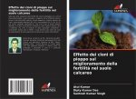 Effetto dei cloni di pioppo sul miglioramento della fertilita nel suolo calcareo