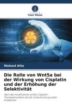 Rolle von Wnt5a bei der Wirkung von Cisplatin und der Erhoehung der Selektivitat