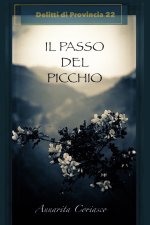 Passo del Picchio