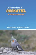 formazione di cockatiel e piccoli pappagalli