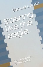 Soaring like the eagle