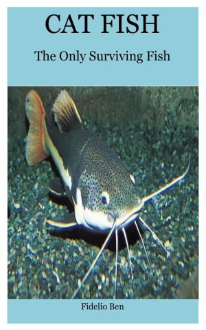 Cat Fish