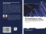 Исследования in vitro растения